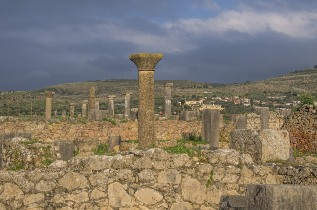 Field of Columns - Volubilis Morocco