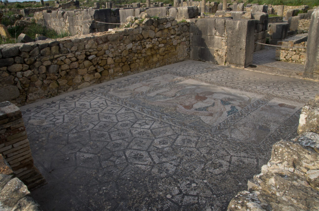 Roman Floor Mosaic 1 - Volubilis Morocco