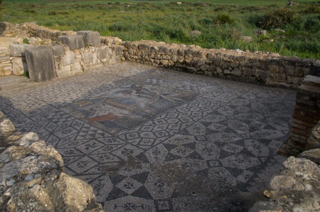 Roman Floor Mosaic 2 - Volubilis Morocco