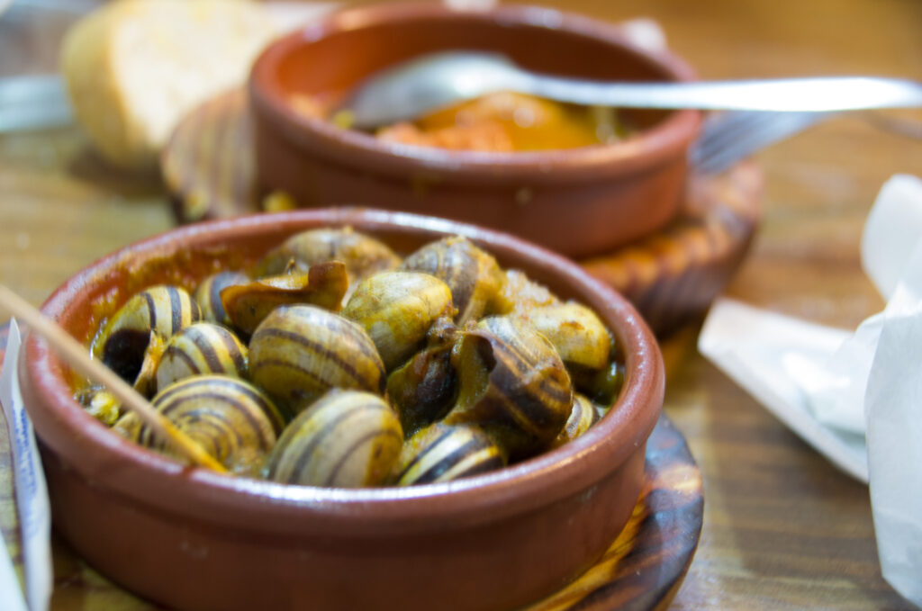 Snails for Dinner - Ceuta Spain