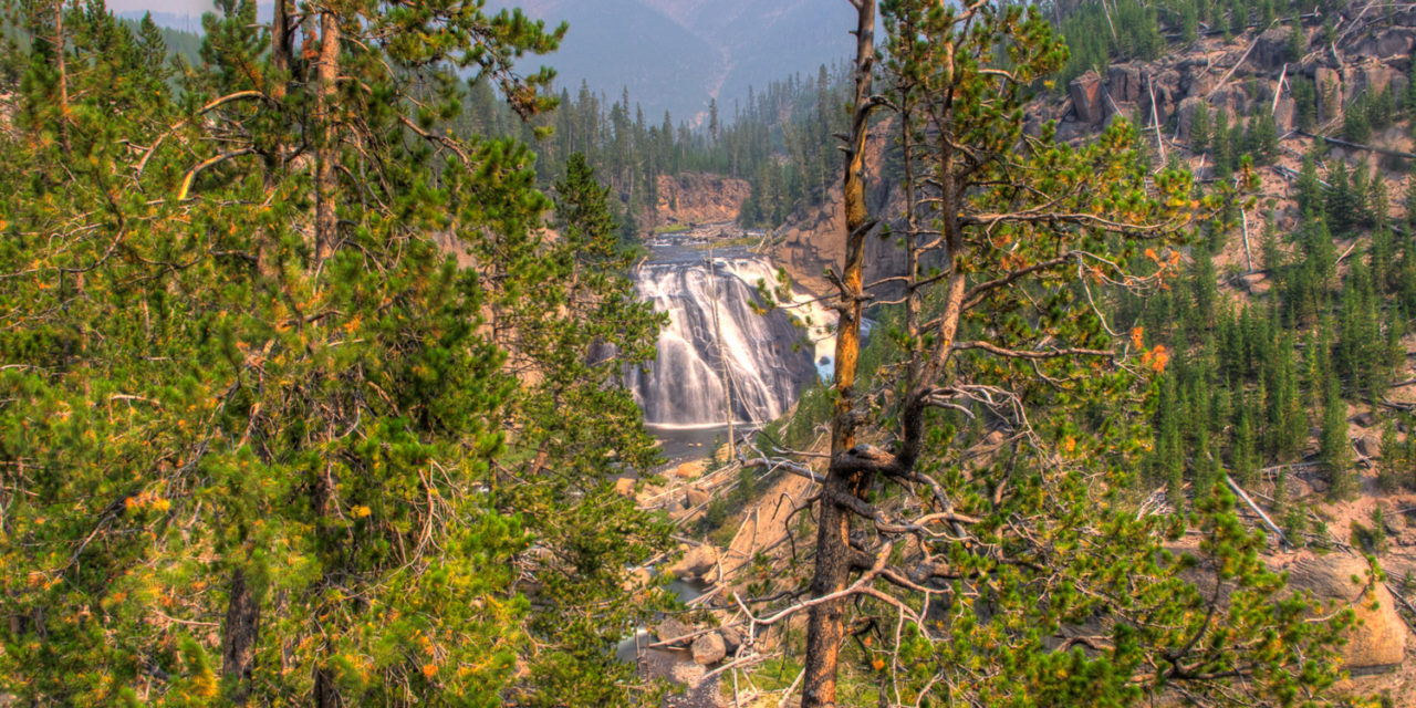 Gibbon Falls - Yellowstone National Park