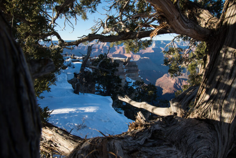 Mather Point - Grand Canyon 2017