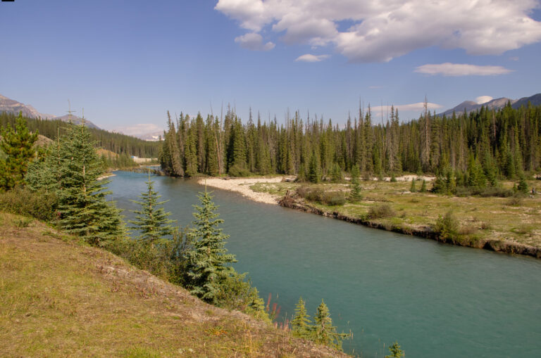 The Bow River - Banff Canada