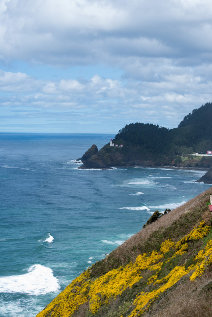 Heceta Head From a Distance
