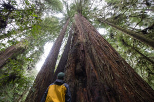 Photographing the Pacific Northwest Coast – My Top 10 Takeaways