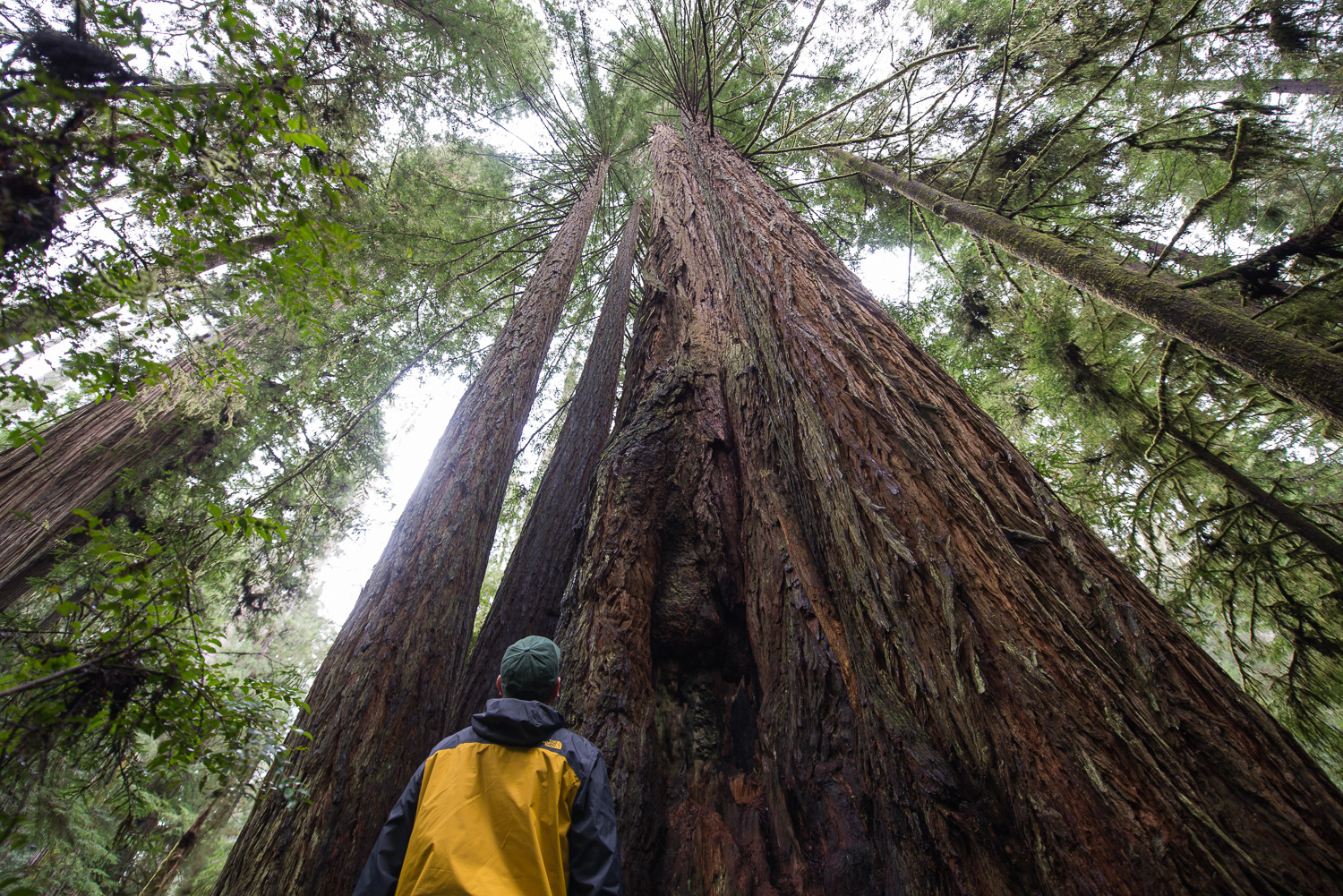 Photographing the Pacific Northwest Coast – My Top 10 Takeaways