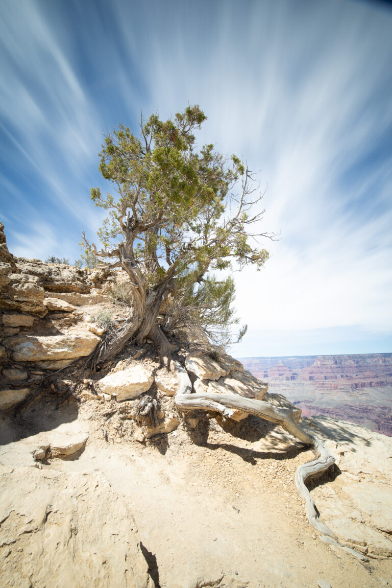 Twisted - Moran Point Grand Canyon National Park