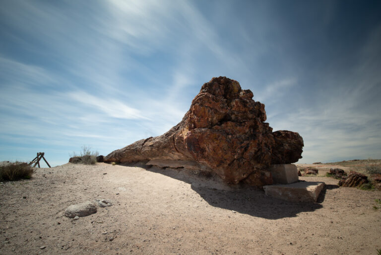 Old Faithful - Petrified Forest National Park