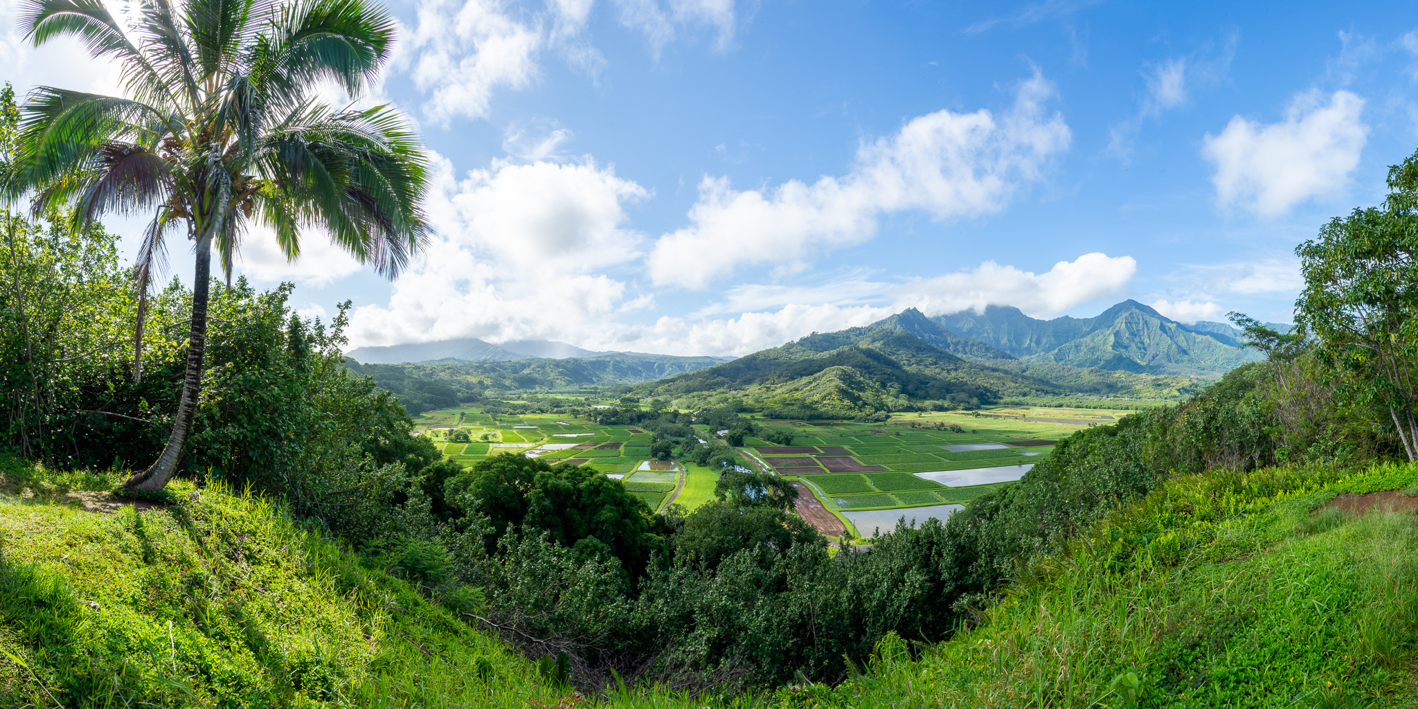 Photographing Kauai Part 6 – Hanalei Valley